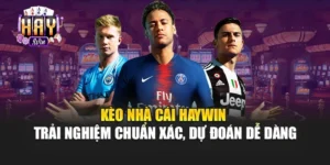 Kèo Nhà Cái Haywin - Trải Nghiệm Chuẩn Xác, Dự Đoán Dễ Dàng