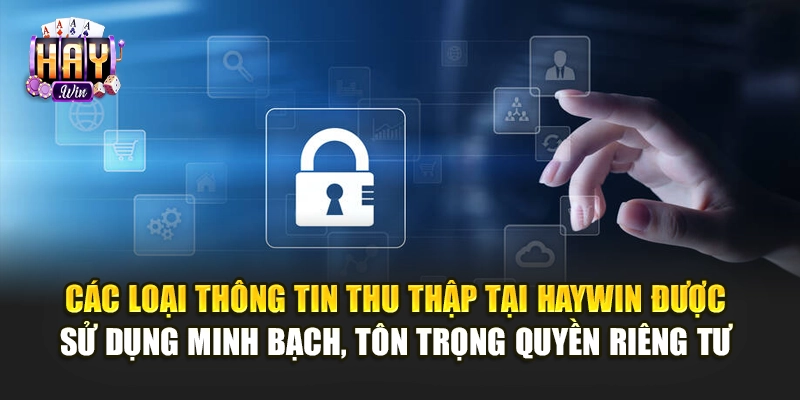 Các loại thông tin thu thập tại Haywin được sử dụng minh bạch, tôn trọng quyền riêng tư
