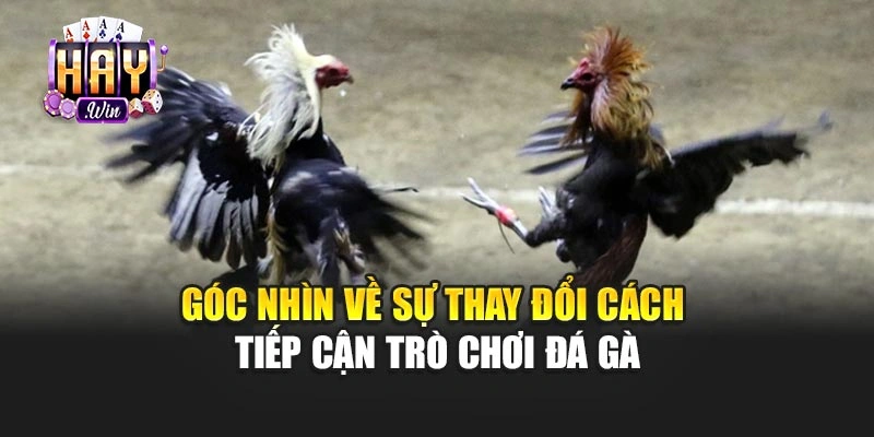 Góc nhìn về sự thay đổi cách tiếp cận trò chơi đá gà