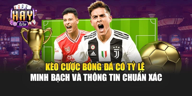 Kèo cược bóng đá có tỷ lệ minh bạch và thông tin chuẩn xác