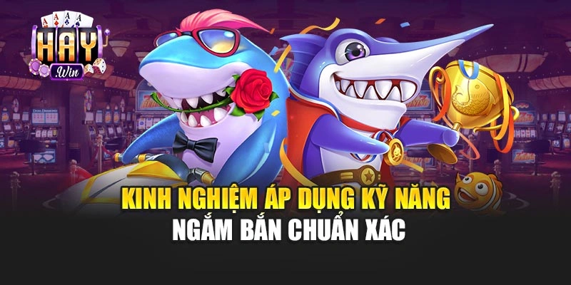 Kinh nghiệm áp dụng kỹ năng ngắm bắn chuẩn xác