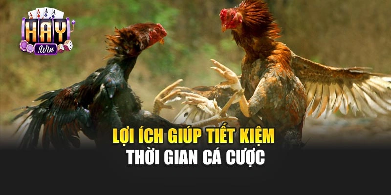 Lợi ích giúp tiết kiệm thời gian cá cược