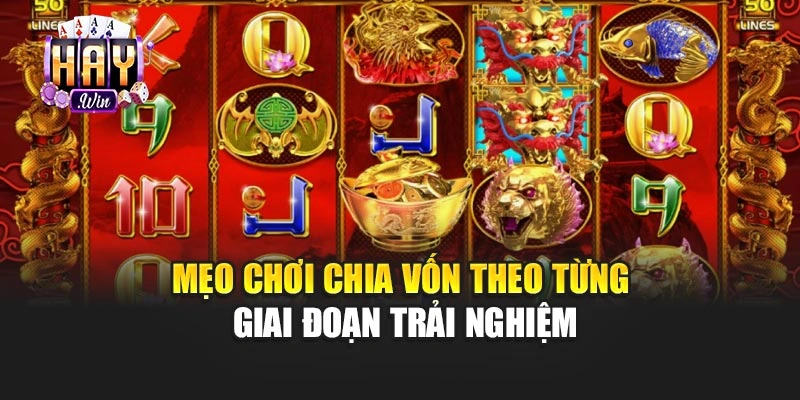 Mẹo chơi chia vốn theo từng giai đoạn trải nghiệm