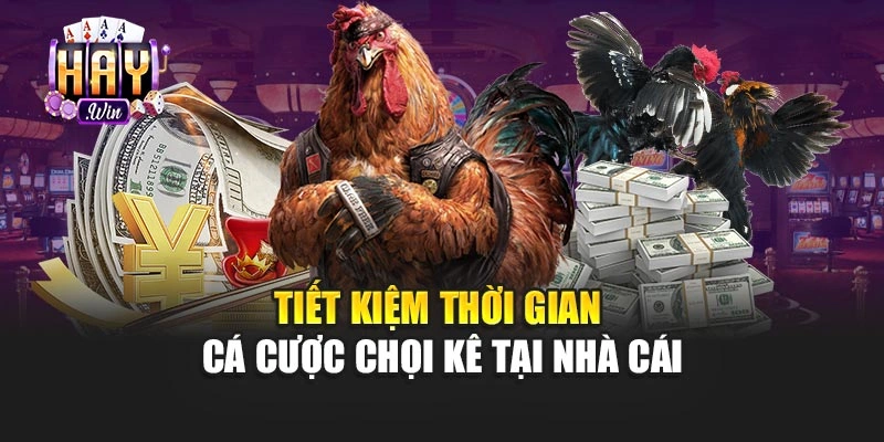 Tiết kiệm thời gian cá cược chọi kê tại nhà cái