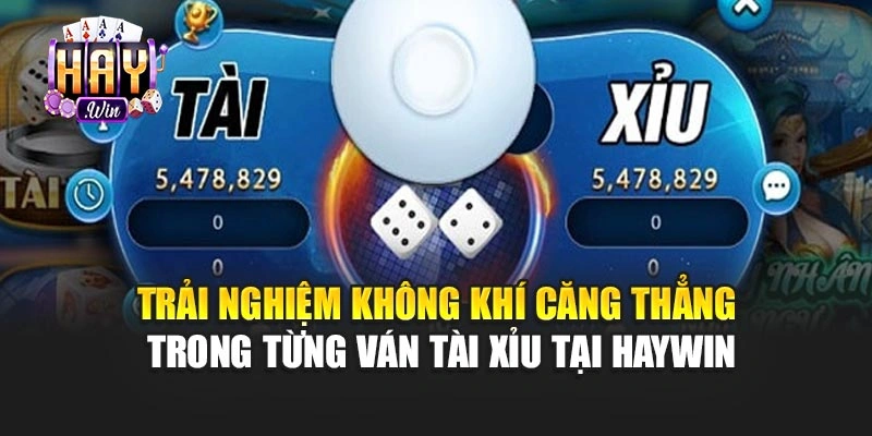 Trải nghiệm không khí căng thẳng trong từng ván tài xỉu tại haywin