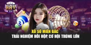 Xổ Số Miền Bắc – Trải Nghiệm Hồi Hộp, Cơ Hội Trúng Lớn